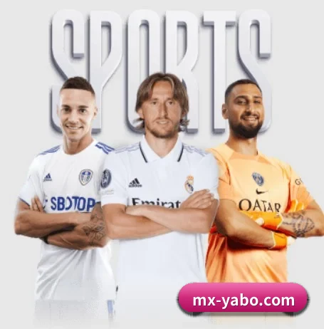 五大服务分区,信息按项目分类 | Yabo Sports