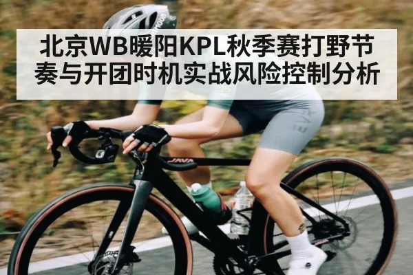 北京WB暖阳KPL秋季赛打野节奏与开团时机实战风险控制分析